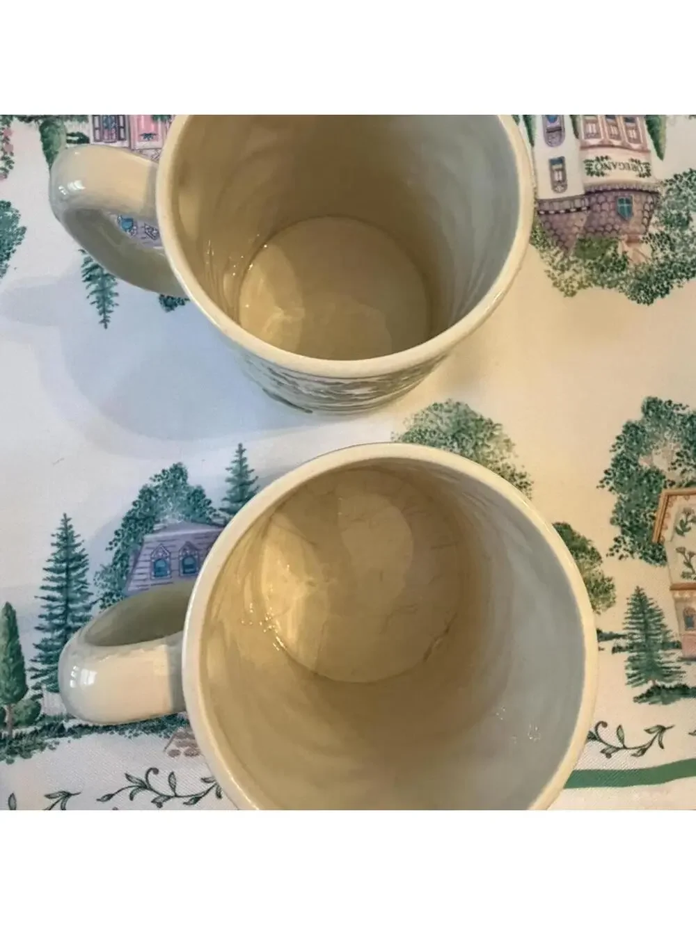 Vintage Cottagecore Goose Farm Mugs Set of 2